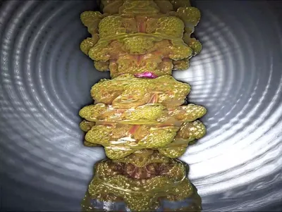 image of the Demo Last Minute Solution